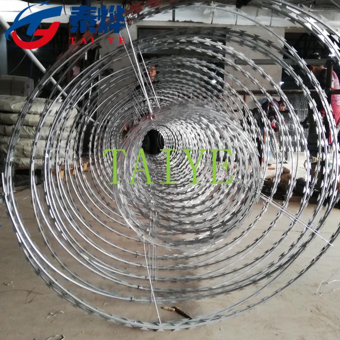 Coiled Double Concertina Razor Wire Barbed Tape With Beautiful Appearance