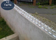 Large Sized Razor Wall Security Spikes Customized Burglar Proof Fence Spikes