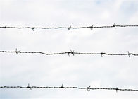 12.5 Guage Galvanized Barbed Wire PVC Coated High Security Wire Fence