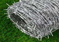 High Tensile Security Barbed Wire Zinc Coating Keep Away Cattle Prohibit Crossing