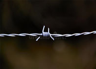 Double Twist Security Barbed Wire Two Line Wires Together Barbs Attached