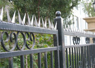 Galvanized Razor Wall Security Spikes , Burglar Proof Fence Spikes For Perimeter