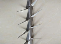 Small Size Boundary Wall Spikes , Anti Climb Fence Spikes Stainless Steel