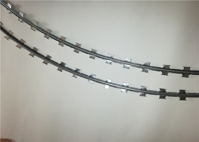 BTO -10 Types Razor Blade Barbed Wire Concertina Coil With Nice Appearance