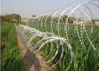Hot Dipped Galvanized HDG CBT 65 Razor Wire Stainless Steel High Security