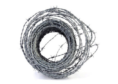 Stainless Steel Galvanized Barbed Wire Coiled Barbed Wire With PVC Coated