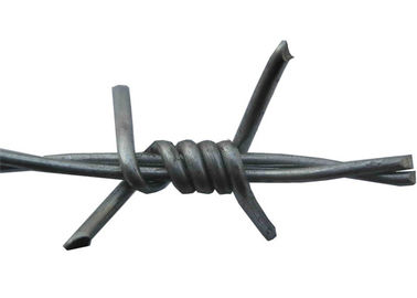 Stainless Steel Galvanized Barbed Wire Coiled Barbed Wire With PVC Coated