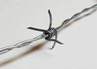 Silver High Security Barbed Wire Airport Fence With Razor Wire Double Barb