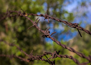 Small Roll Of High Tensile Security Barbed Wire Ribbon Type Wall Spikes On Fence