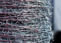 Roll Double Twist Barbed Wire Galvanized Wire Barbed Fence Made Of Iron