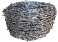 Stainless Steel Galvanized Barbed Wire Coiled Barbed Wire Bulk Barbed Wire