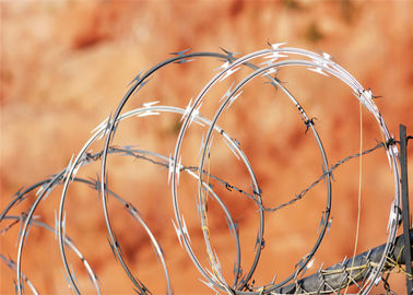 Concertina Coil Razor Barbed Wire CBT Type Galvanized Crossed With Clips
