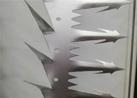 Steel Large Size Anti - Climb Wall Spikes Bird , Durable Metal Wall Spikes