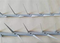 White Color Wall Security Spikes Small Size 6cm Sharp Metal Razor Spikes