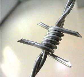 Anti - Climb 14×14 Guage Security Barbed Wire Hot Dipped Galvanized On Fence Top