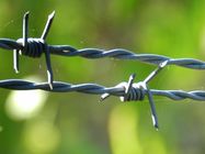 Silver Electric Galvanized Security Barbed Wire Low Carbon Steel BWG 12 14 16