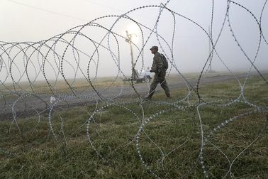 Roll Type Razor Barbed Wire Fence Fixed With Clips Single Or Cross Coil