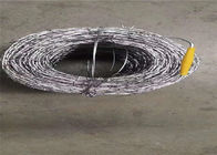 Galvanized Double Twist Razor Barbed Wire Barber Wire Diameter 1.6- 2.8 Mm